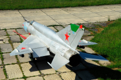 FAP0048